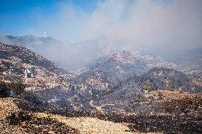 Wildfires Rage In Izmir Province - Turkey