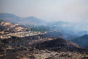 Wildfires Rage In Izmir Province - Turkey