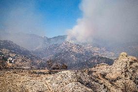 Wildfires Rage In Izmir Province - Turkey