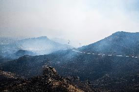 Wildfires Rage In Izmir Province - Turkey