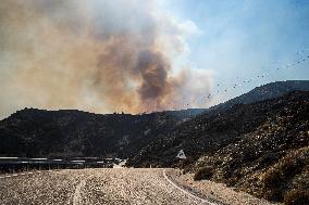 Wildfires Rage In Izmir Province - Turkey