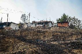 Wildfires Rage In Izmir Province - Turkey