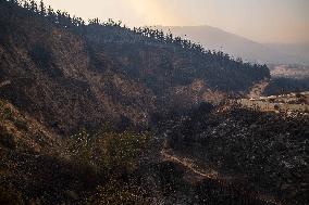 Wildfires Rage In Izmir Province - Turkey