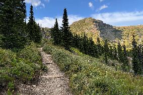 Loop Trail Glacier National Park