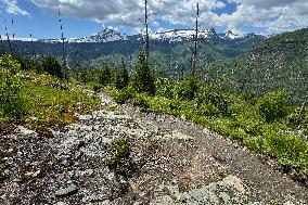 Loop Trail Glacier National Park