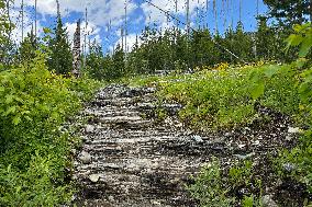 Loop Trail Glacier National Park