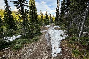 Loop Trail Glacier National Park