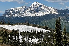 Swiftcurrent Pass Glacier National Park