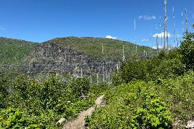 Loop Trail Glacier National Park