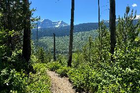 Loop Trail Glacier National Park