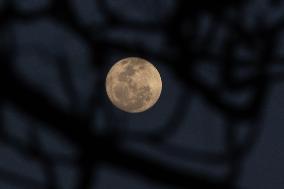 Supermoon In Brazil