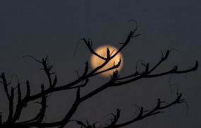 Supermoon In Brazil