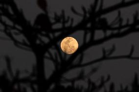 Supermoon In Brazil