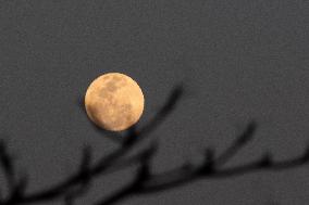 Supermoon In Brazil