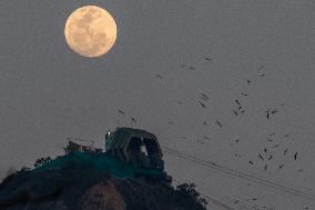 Supermoon In Brazil