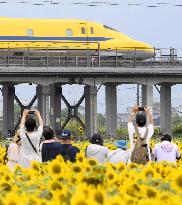 "Doctor Yellow" track-testing bullet train