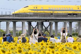 "Doctor Yellow" track-testing bullet train