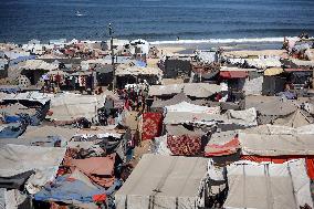 Displaced Palestinians Fleeing Their Houses