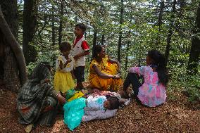 Raksha Bandhan Celebrations In Kashmir