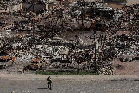 Wildfire Damage In Jasper National Park - Canada