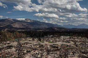 Wildfire Damage In Jasper National Park - Canada