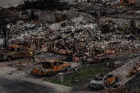 Wildfire Damage In Jasper National Park - Canada