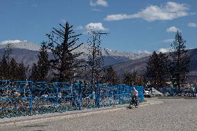 Wildfire Damage In Jasper National Park - Canada