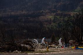 Wildfire Damage In Jasper National Park - Canada