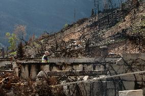 Wildfire Damage In Jasper National Park - Canada