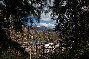 Wildfire Damage In Jasper National Park - Canada