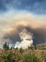 Wildfires Rage Across British Columbia - Canada