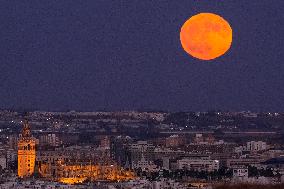 Supermoon Lights Up The Sky Above Seville - Spain