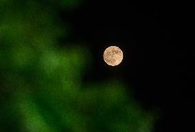 Super Blue Moon -  Sturgeon Moon - India