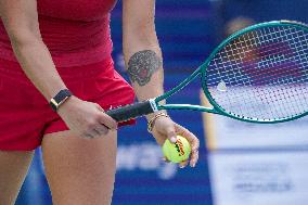 Cincinnati Open Women's Final: Sabalenka Vs. Pegula