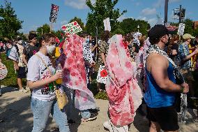 Thousands Protest Near Democratic Convention - Chicago