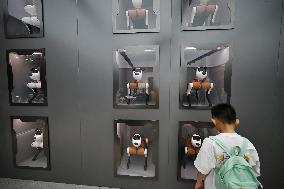 The First AI Robot Dog Experience Store in China