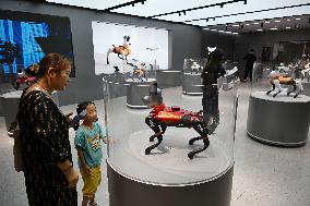 The First AI Robot Dog Experience Store in China