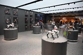 The First AI Robot Dog Experience Store in China