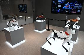 The First AI Robot Dog Experience Store in China