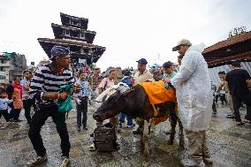 Nepal Observes Gaijatra Festival