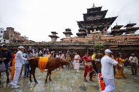 Nepal Observes Gaijatra Festival