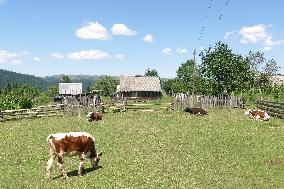 Ukrainian Carpathians