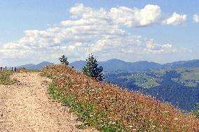 Ukrainian Carpathians