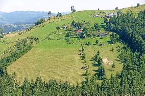 Ukrainian Carpathians