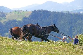 Ukrainian Carpathians