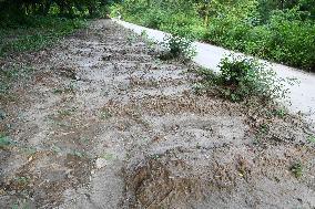 Unidentified Bodies Graves Of Student Movement Violence In Dhaka, Bangladesh