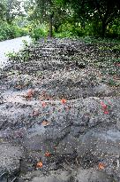 Unidentified Bodies Graves Of Student Movement Violence In Dhaka, Bangladesh