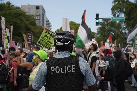 Thousands Protest Near Democratic Convention - Chicago