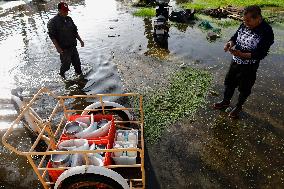 Floods In Chalco Affect Families Come Mexico