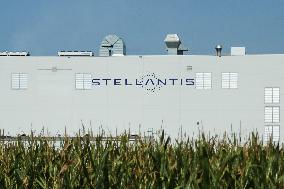 Stellantis In Poland